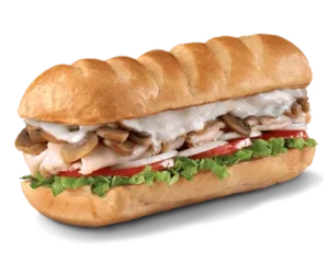 Firehouse Subs Engineer
